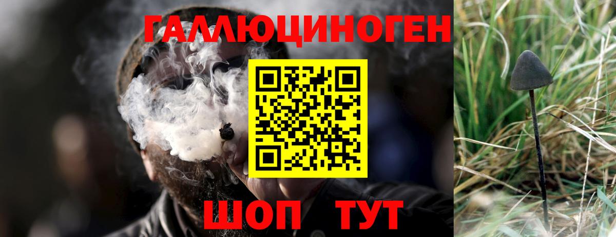 Псилоцибиновые грибы MAGIC MUSHROOMS Татарск