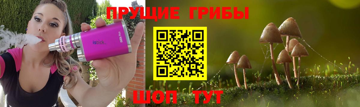 Татарск  Галлюциногенные грибы мицелий  Вход с VPN 